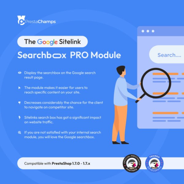 Google Sitelink Searchbox PRO