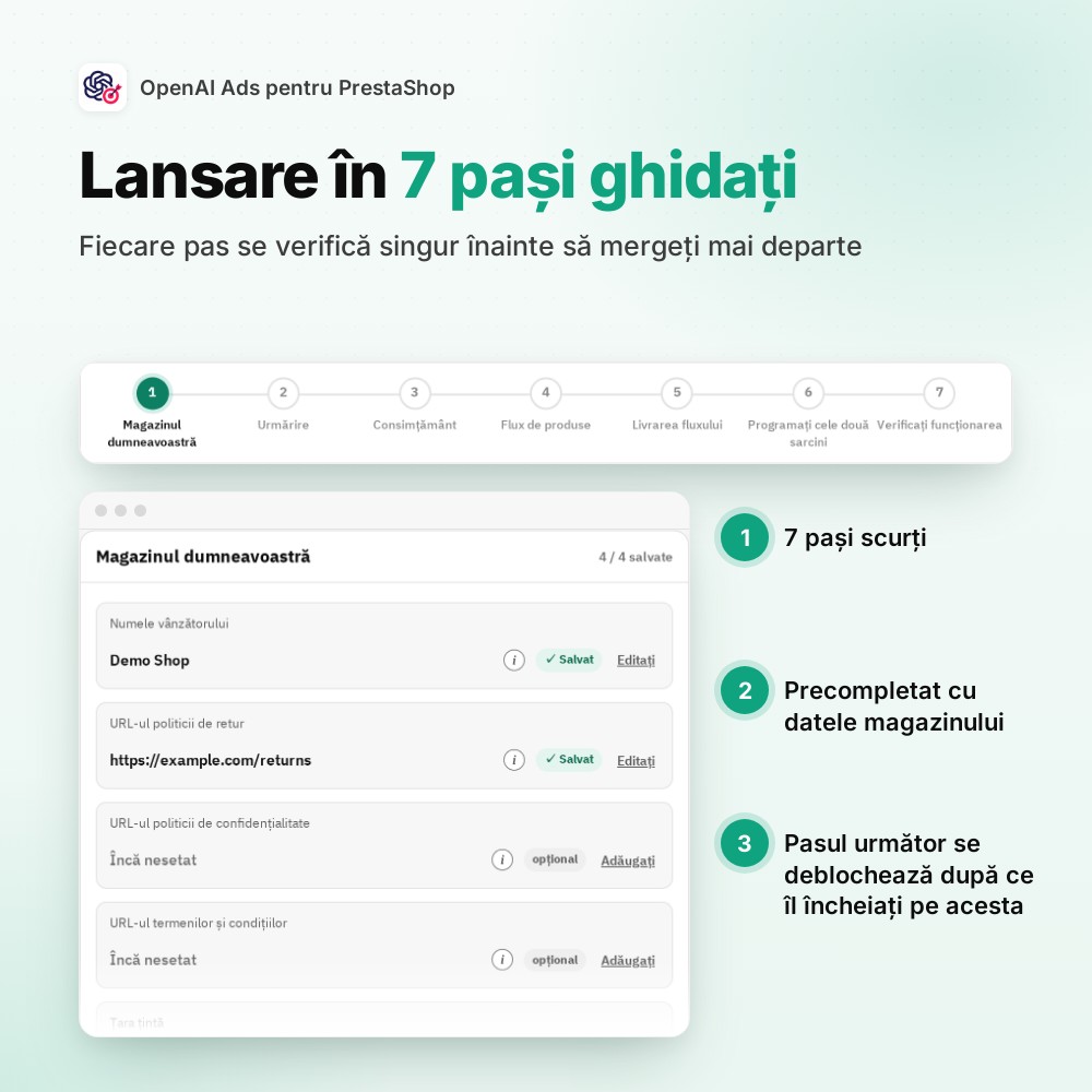 Lansare în 7 pași ghidați